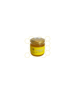 Miele di Limoni BIO 100 gr